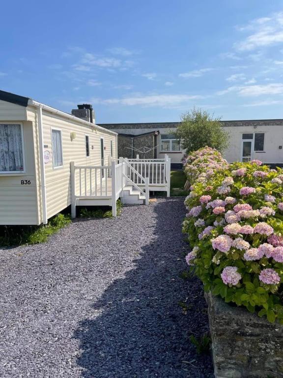 Sandydaze St Merryn Exterior foto